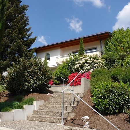 Schwarzwaelder Ferienwohnungen Seelbach (Baden-Wurttemberg) Exterior foto