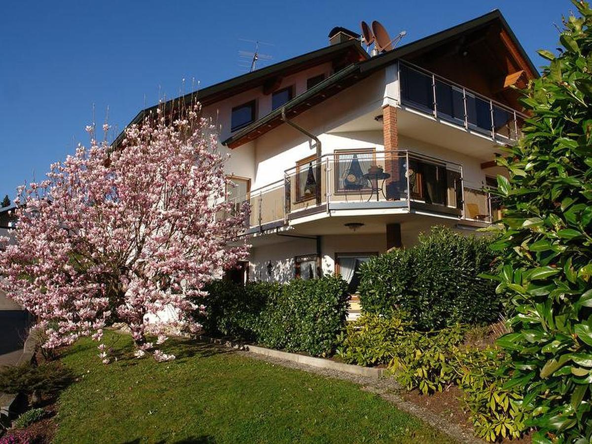Schwarzwaelder Ferienwohnungen Seelbach (Baden-Wurttemberg) Exterior foto