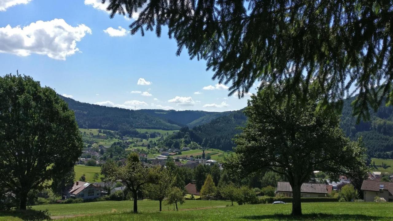 Schwarzwaelder Ferienwohnungen Seelbach (Baden-Wurttemberg) Exterior foto