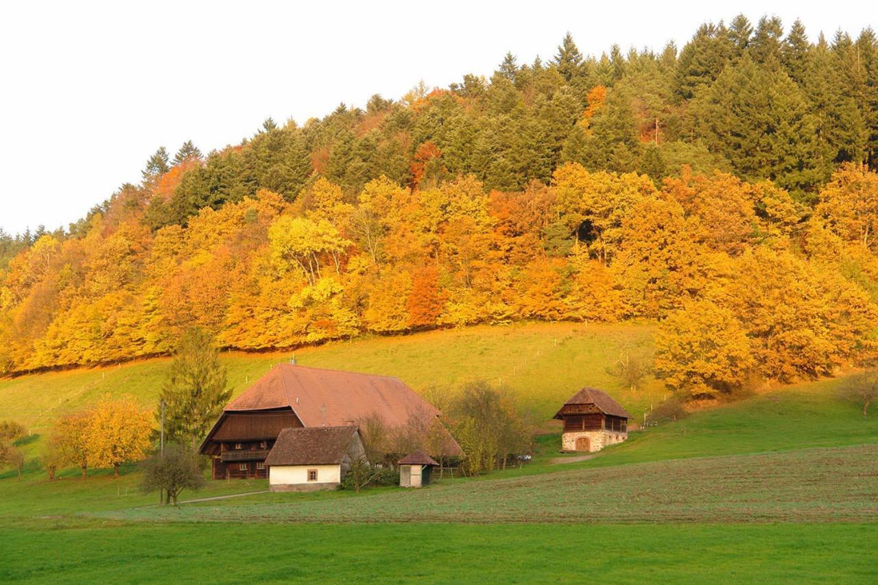 Schwarzwaelder Ferienwohnungen Seelbach (Baden-Wurttemberg) Exterior foto