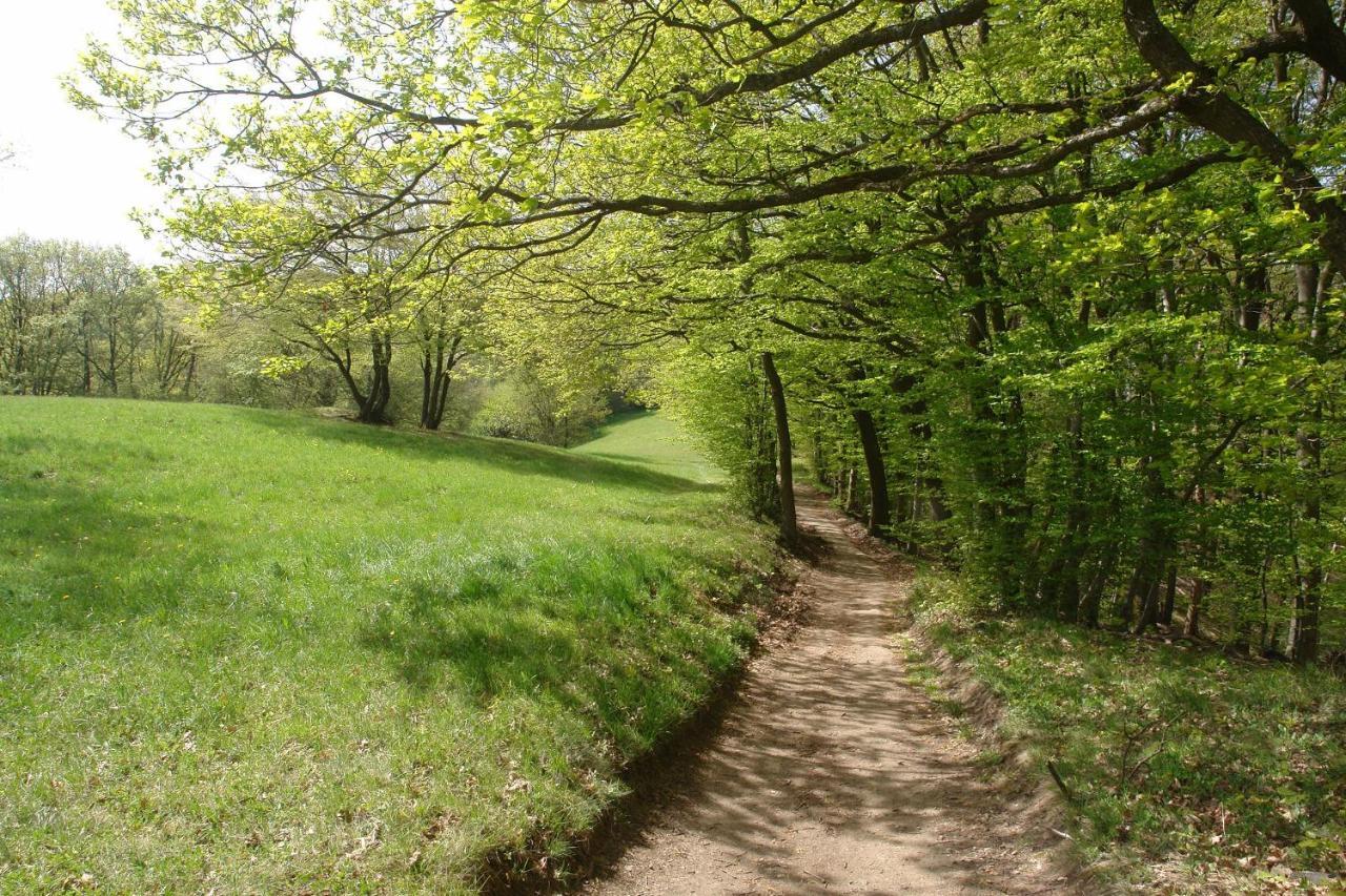 Schwarzwaelder Ferienwohnungen Seelbach (Baden-Wurttemberg) Exterior foto