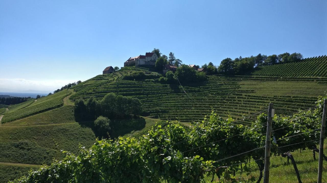 Schwarzwaelder Ferienwohnungen Seelbach (Baden-Wurttemberg) Exterior foto