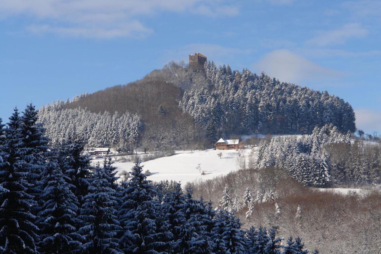 Schwarzwaelder Ferienwohnungen Seelbach (Baden-Wurttemberg) Exterior foto