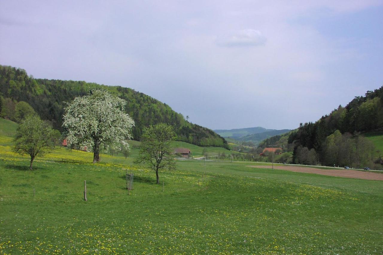 Schwarzwaelder Ferienwohnungen Seelbach (Baden-Wurttemberg) Exterior foto