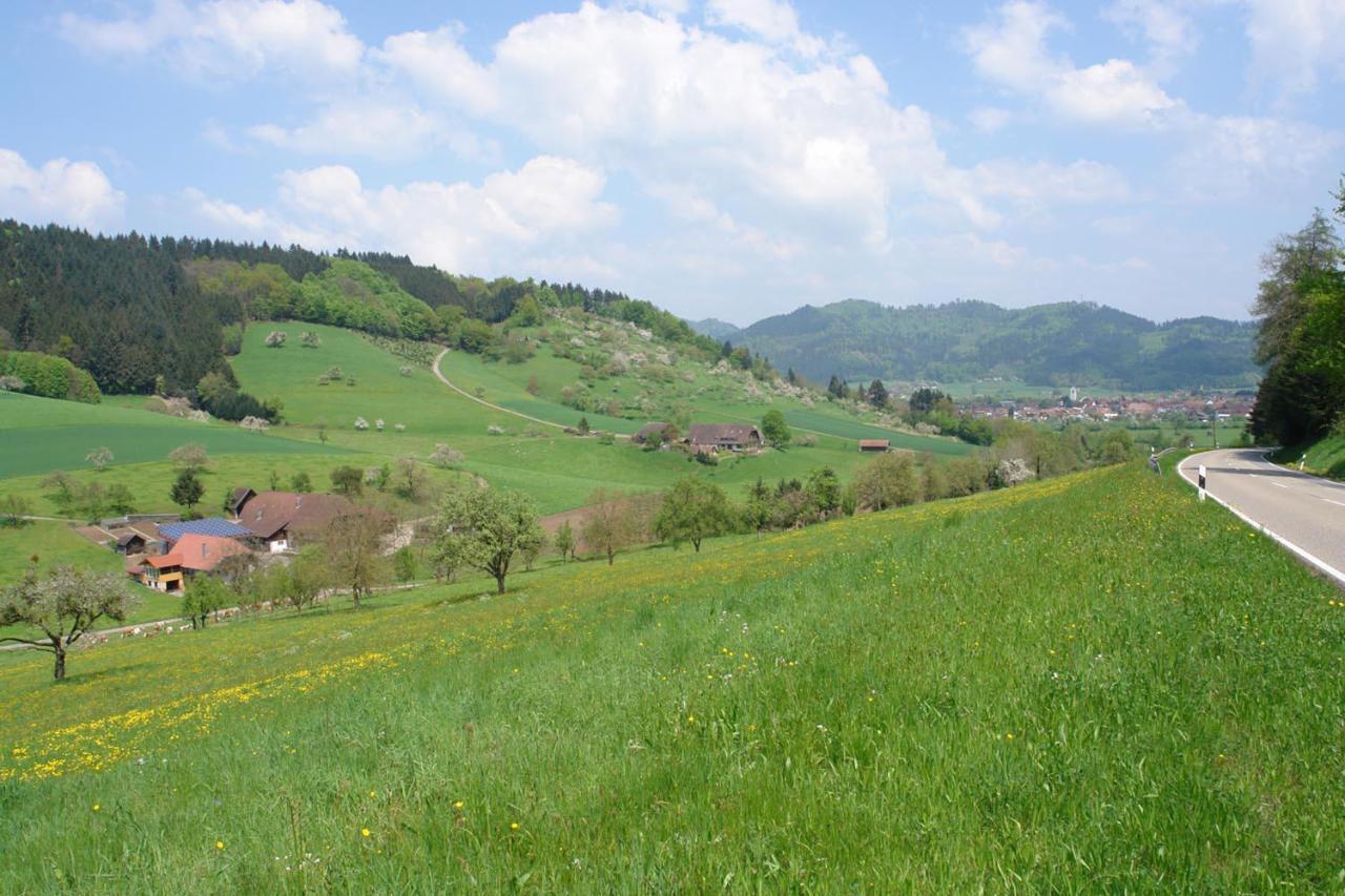 Schwarzwaelder Ferienwohnungen Seelbach (Baden-Wurttemberg) Exterior foto