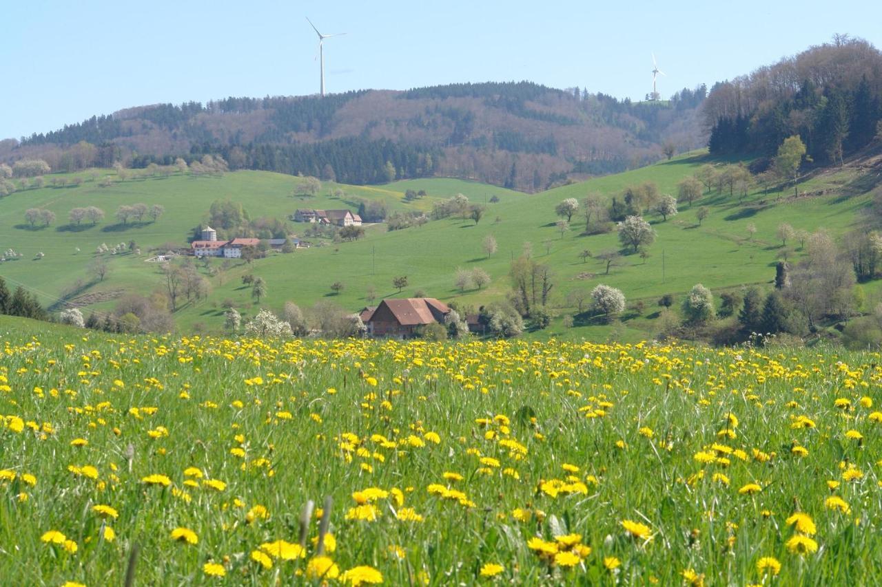 Schwarzwaelder Ferienwohnungen Seelbach (Baden-Wurttemberg) Exterior foto