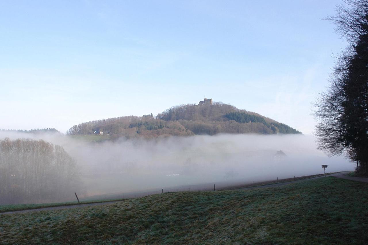 Schwarzwaelder Ferienwohnungen Seelbach (Baden-Wurttemberg) Exterior foto